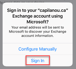 Apple Sign in option