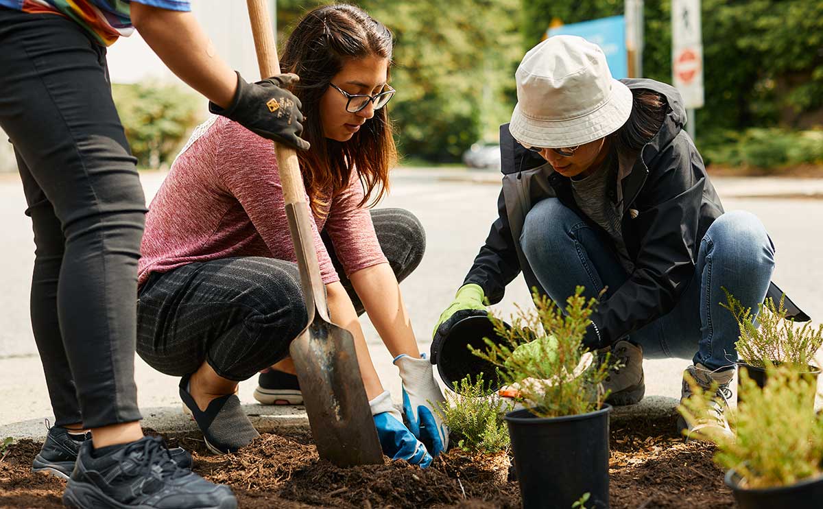 CapU Tourism Management students beautifying the North Vancouver campus as part of a planting field study.