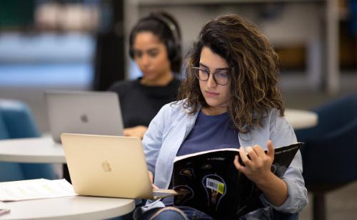 Students in library studying