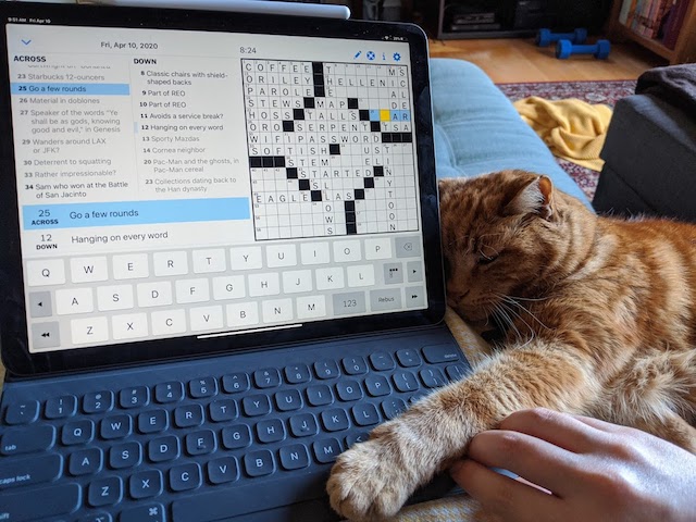 Mouse helping with the morning crossword. Submitted by Michel Castagné.