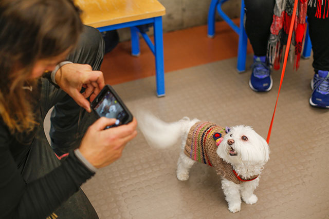 Spending time with therapy dogs during the “Dogs and Doodles Coffee Social” event, held as part of Experience Well-being Week, on Jan. 31, 2020. (Photo by Nathalie Taylor)