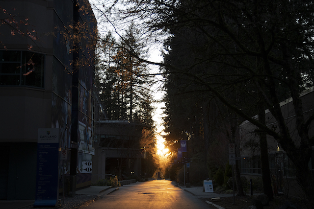 The sun sets on campus on March 25, 2020.