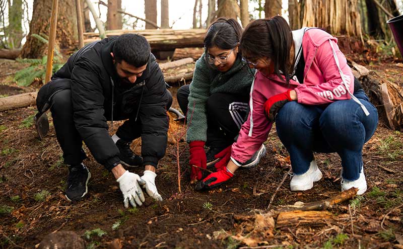 Students participating in a project during UN Sustainable Development Goals Week.