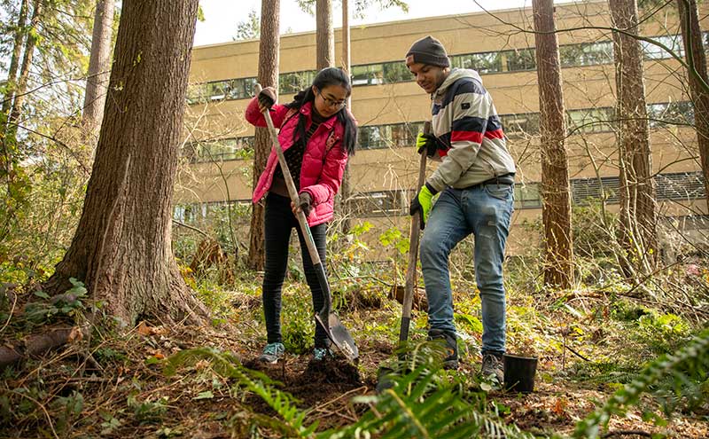 CapU students working on a UN Sustainable Development Goals project by planting trees at North Vancouver Campus.